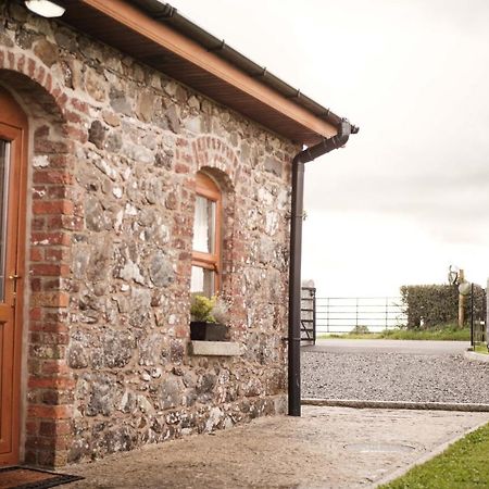 Drumnavaddy Cottage Dromore  Eksteriør billede