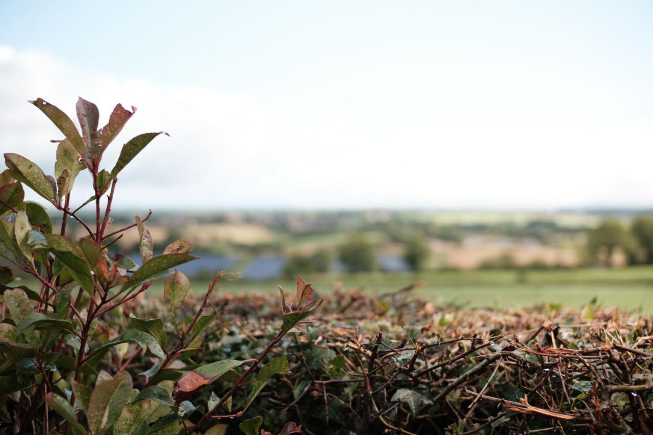 Drumnavaddy Cottage Dromore  Eksteriør billede